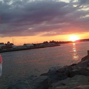 Meet your Posher, Paulette